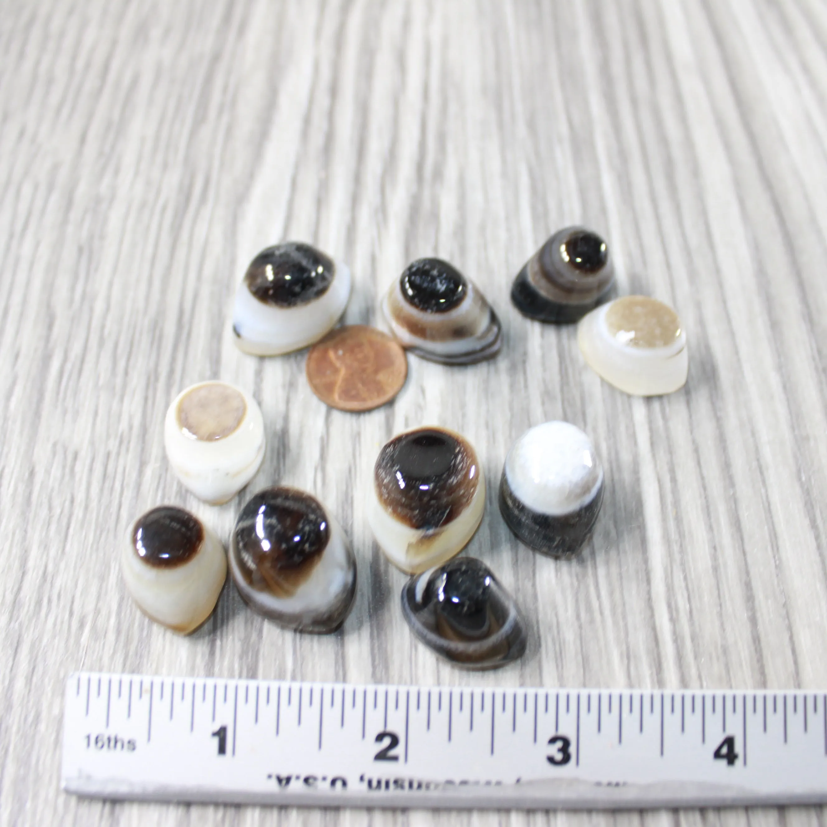 10 Agate Eyes   #0049 Naturally Formed