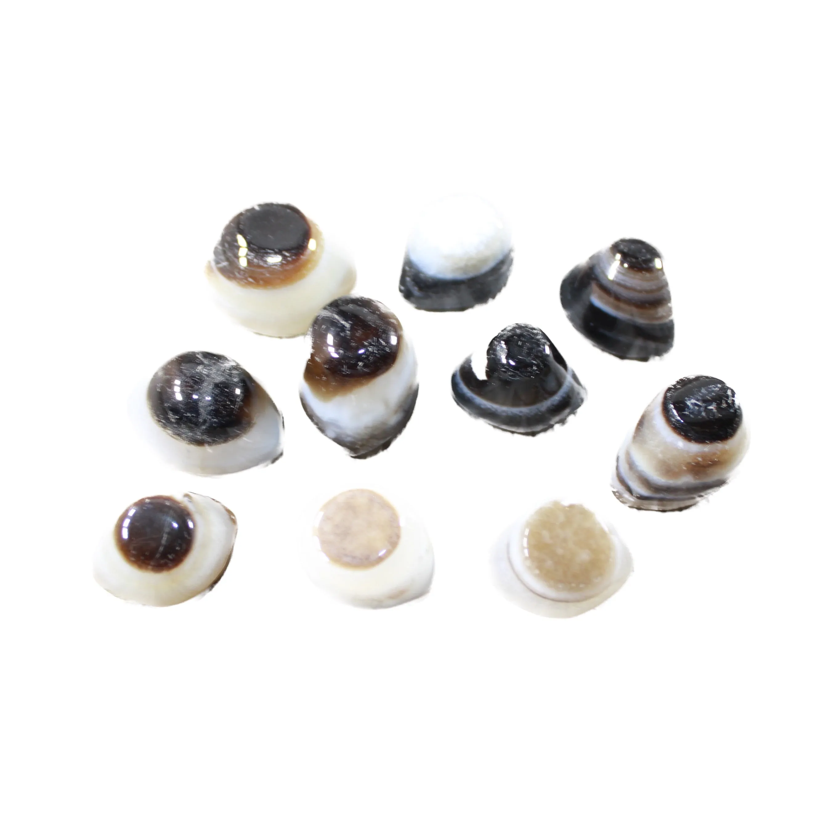 10 Agate Eyes   #0049 Naturally Formed