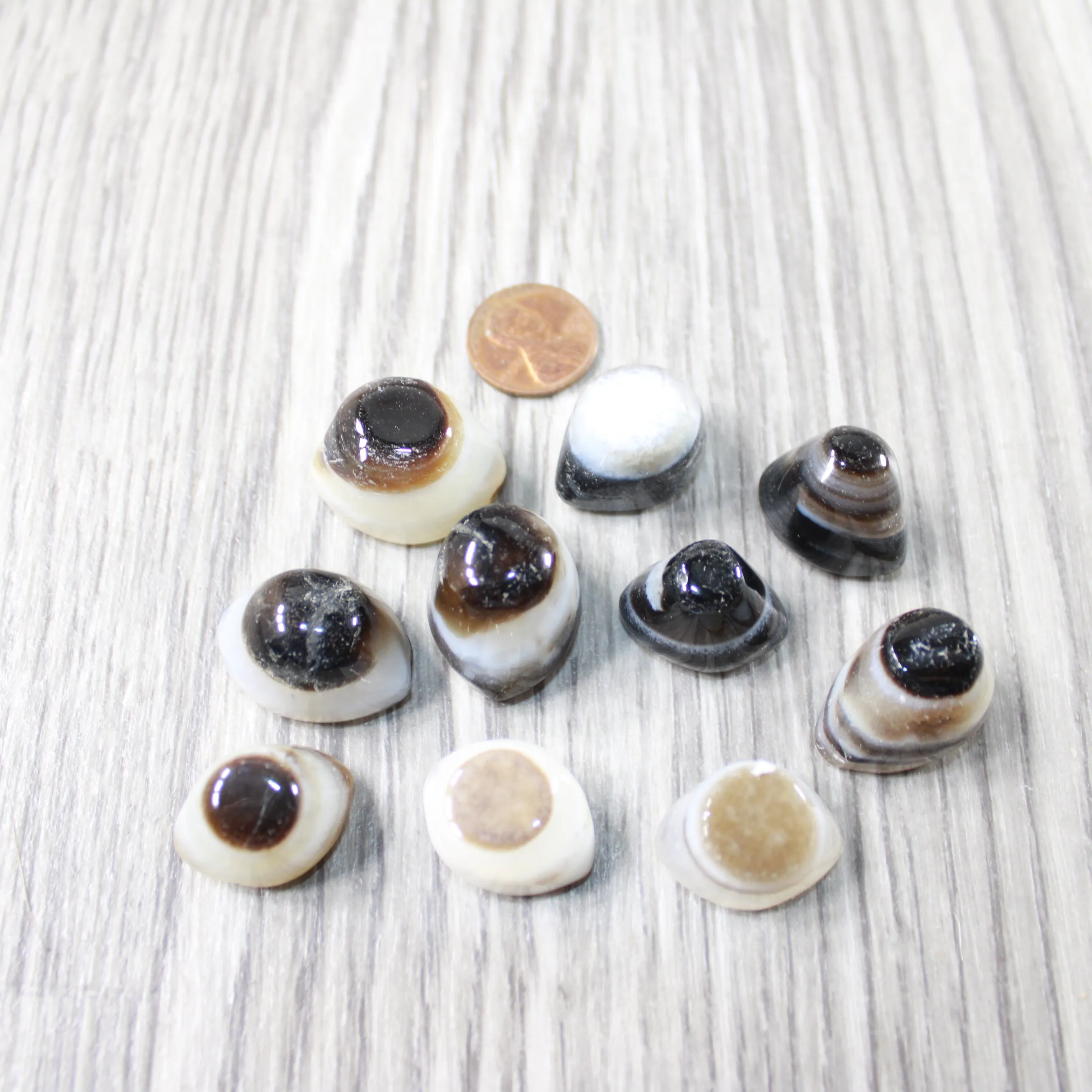 10 Agate Eyes   #0049 Naturally Formed