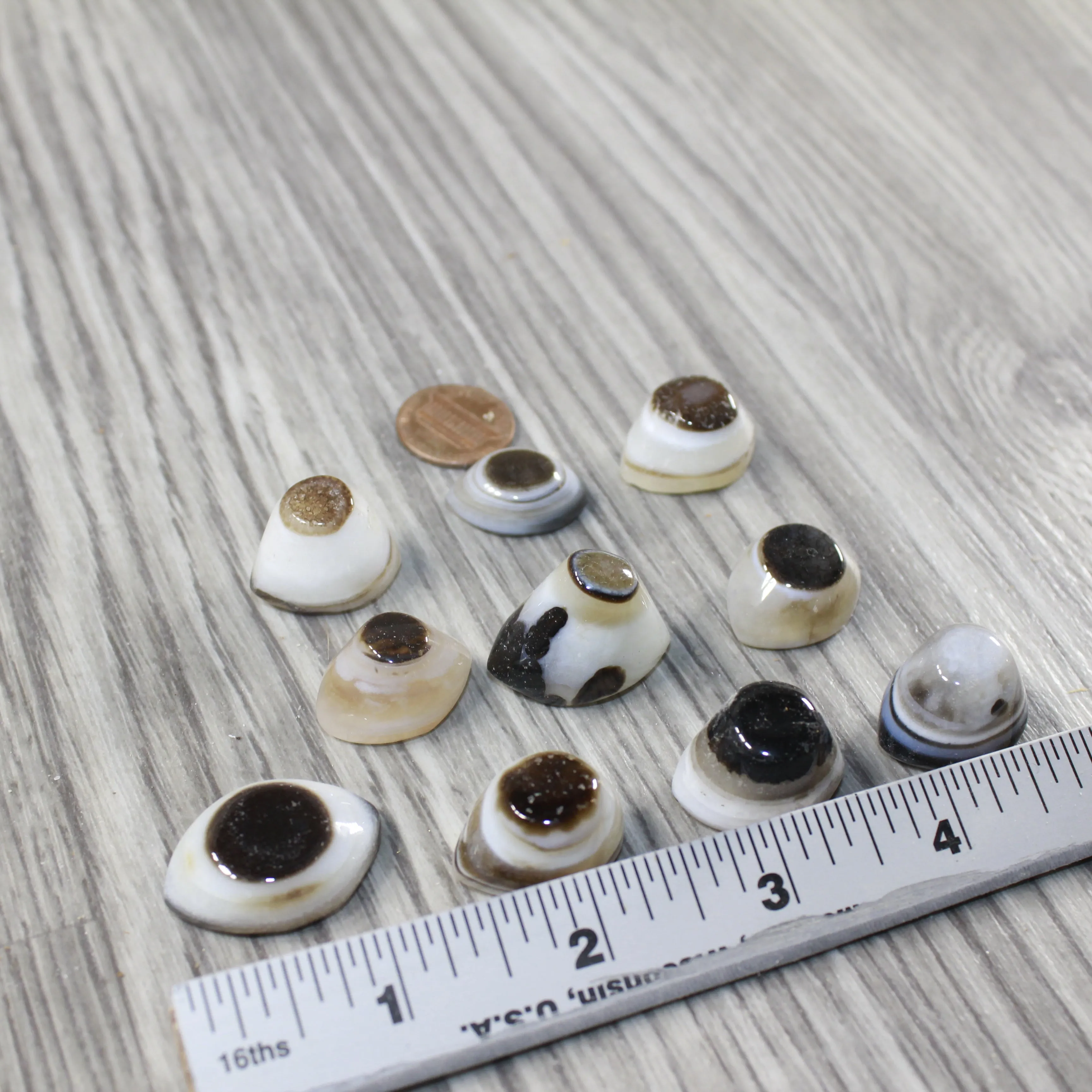10 Agate Eyes   #6643 Naturally Formed