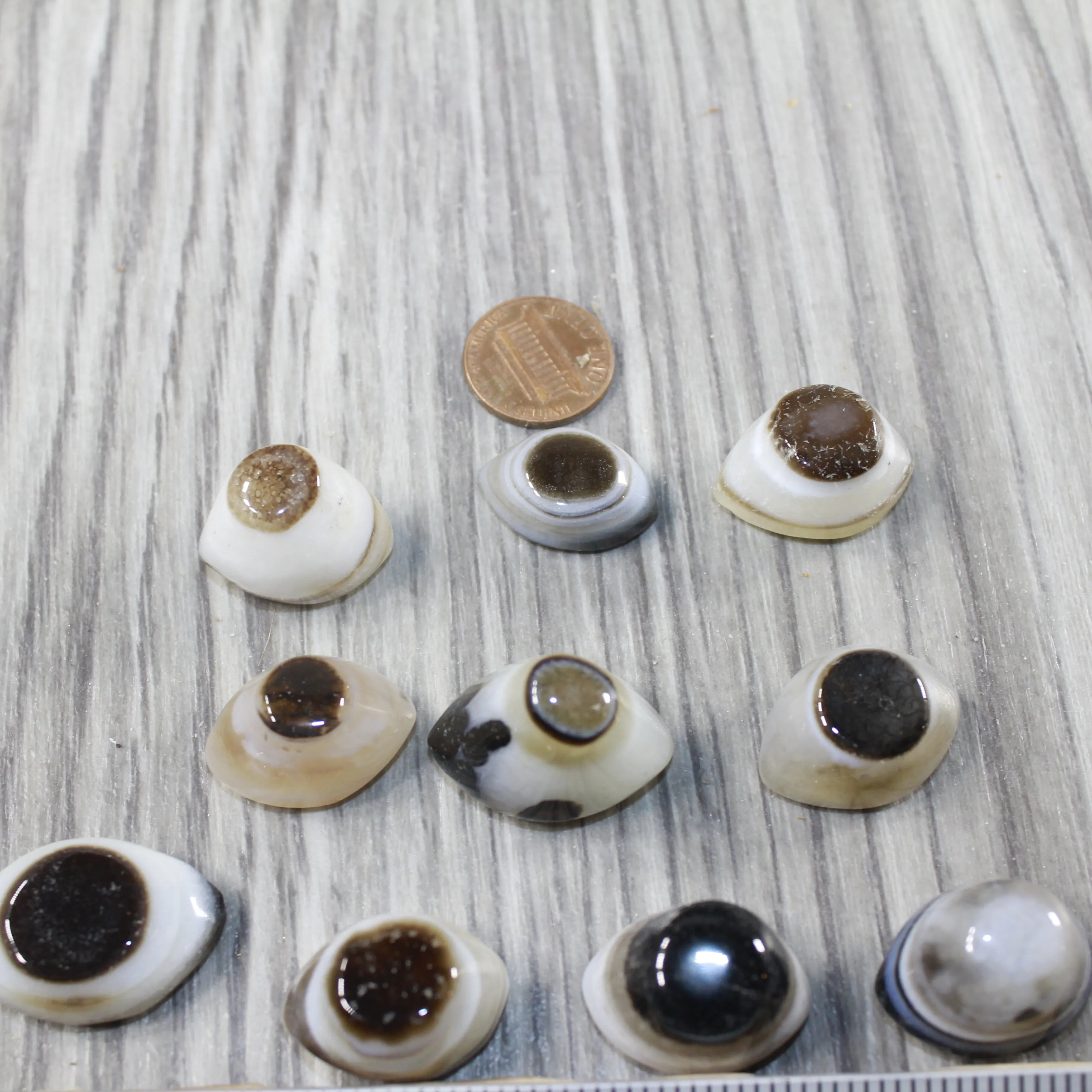 10 Agate Eyes   #6643 Naturally Formed
