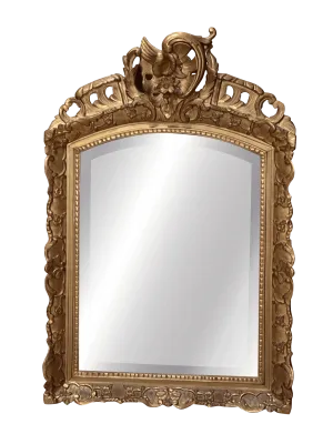 19th Century French Carved, gilded, molded mirror