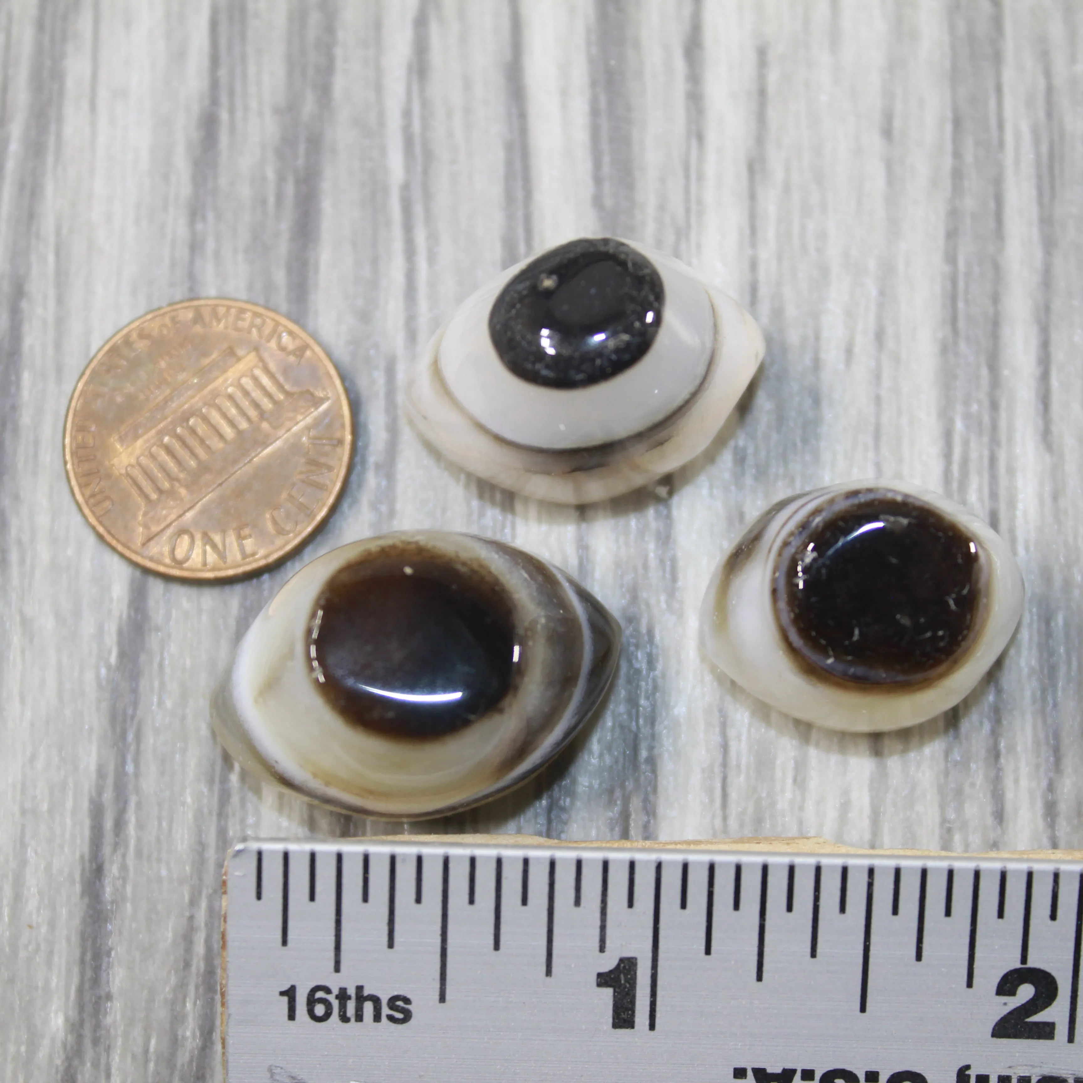 3 Agate Eyes   #2942 Naturally Formed