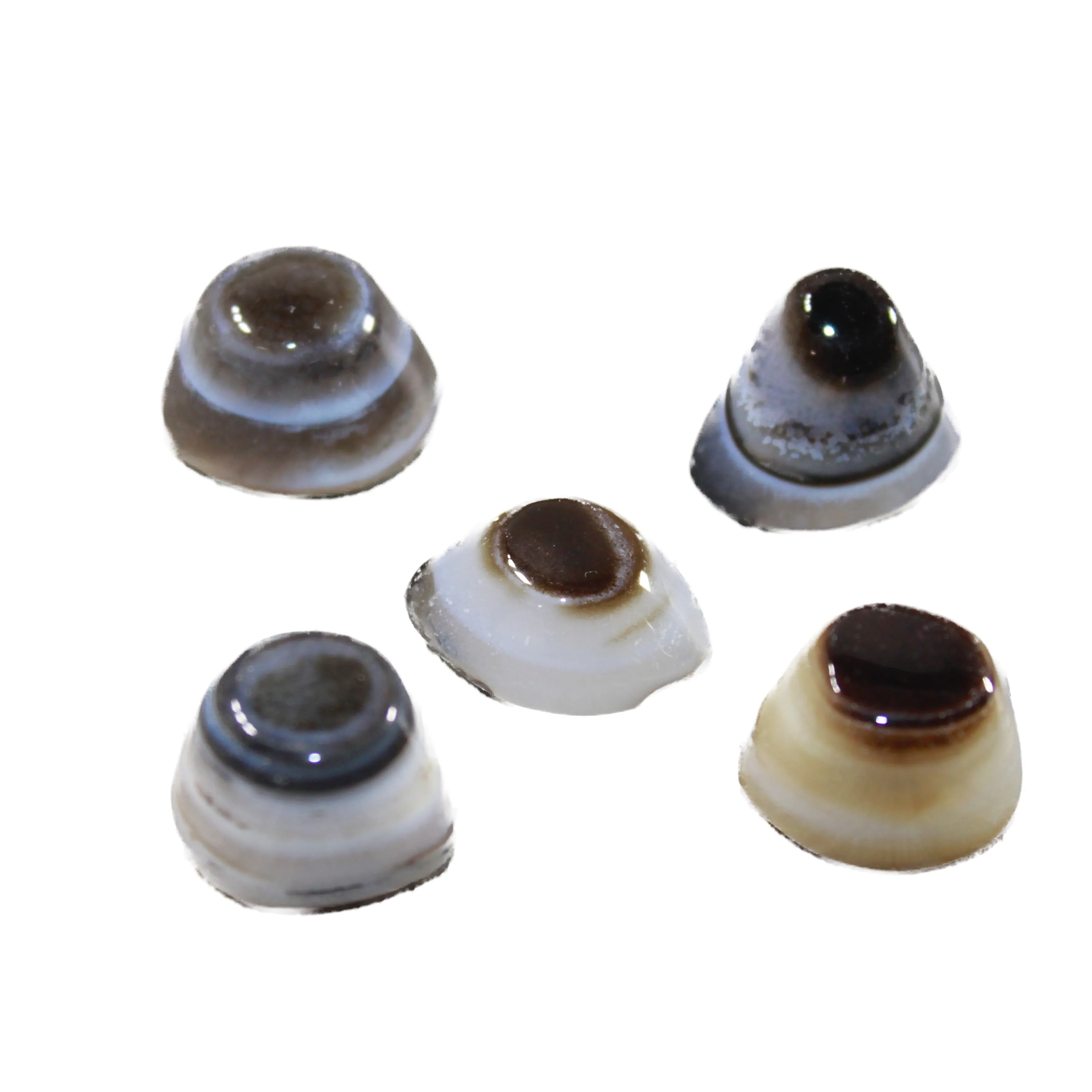 5 Agate Eyes   #6843 Naturally Formed