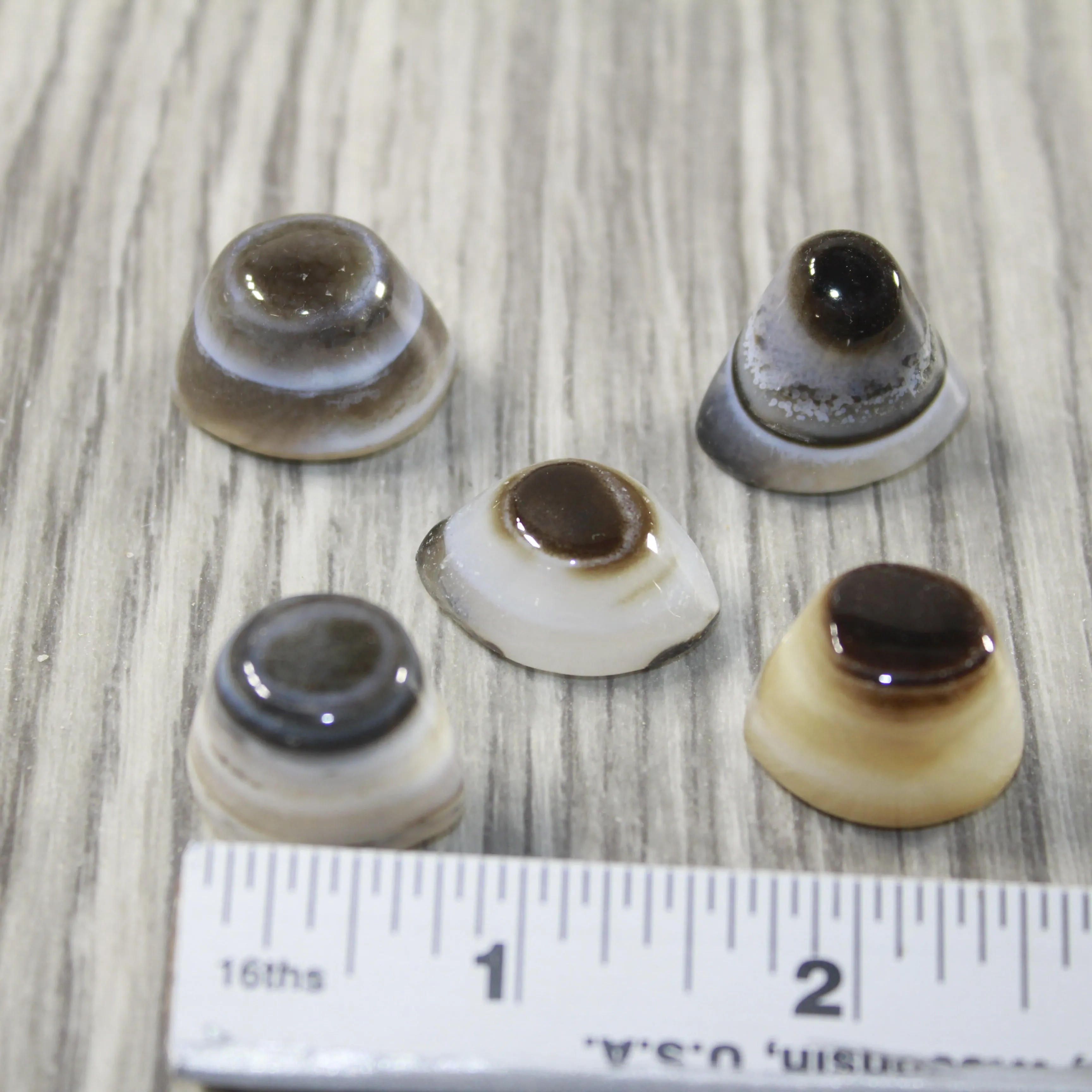 5 Agate Eyes   #6843 Naturally Formed