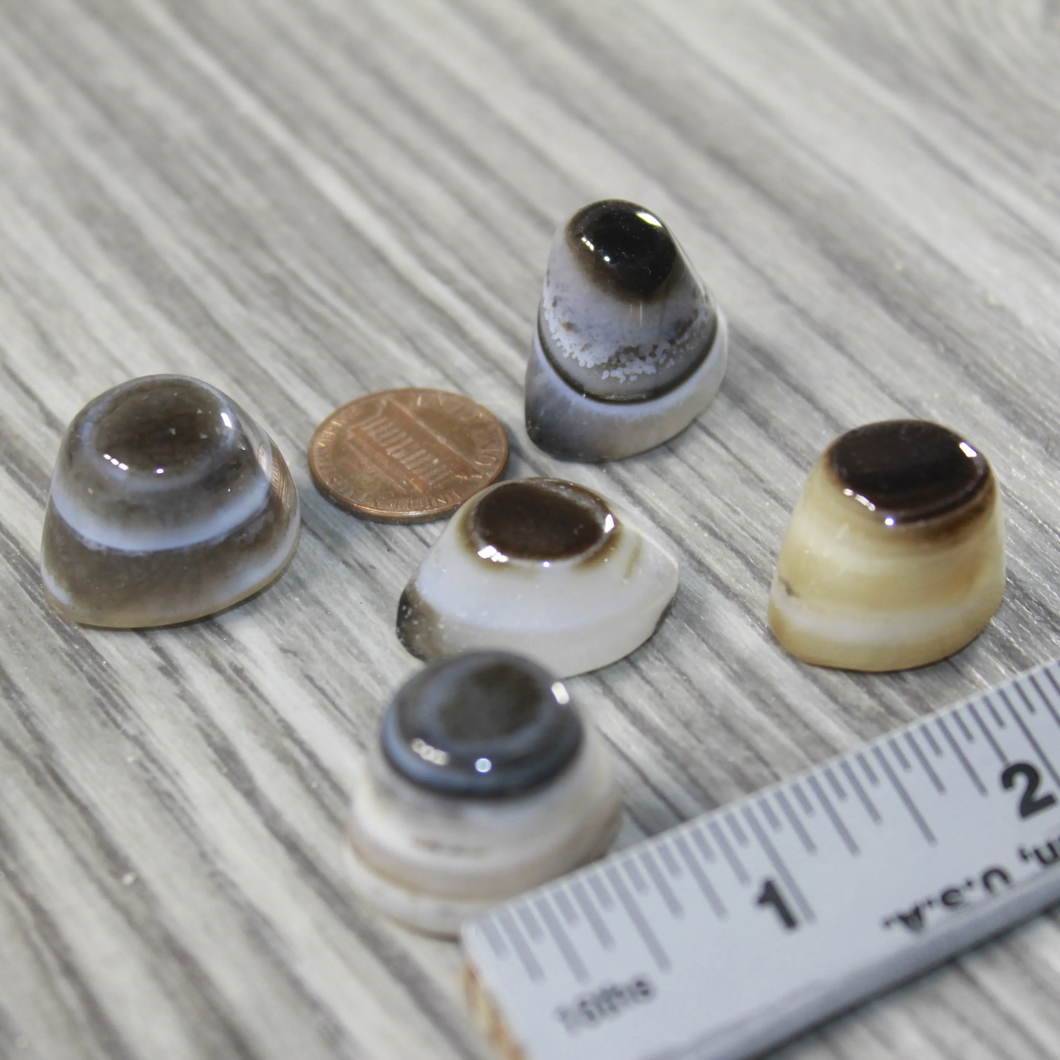 5 Agate Eyes   #6843 Naturally Formed