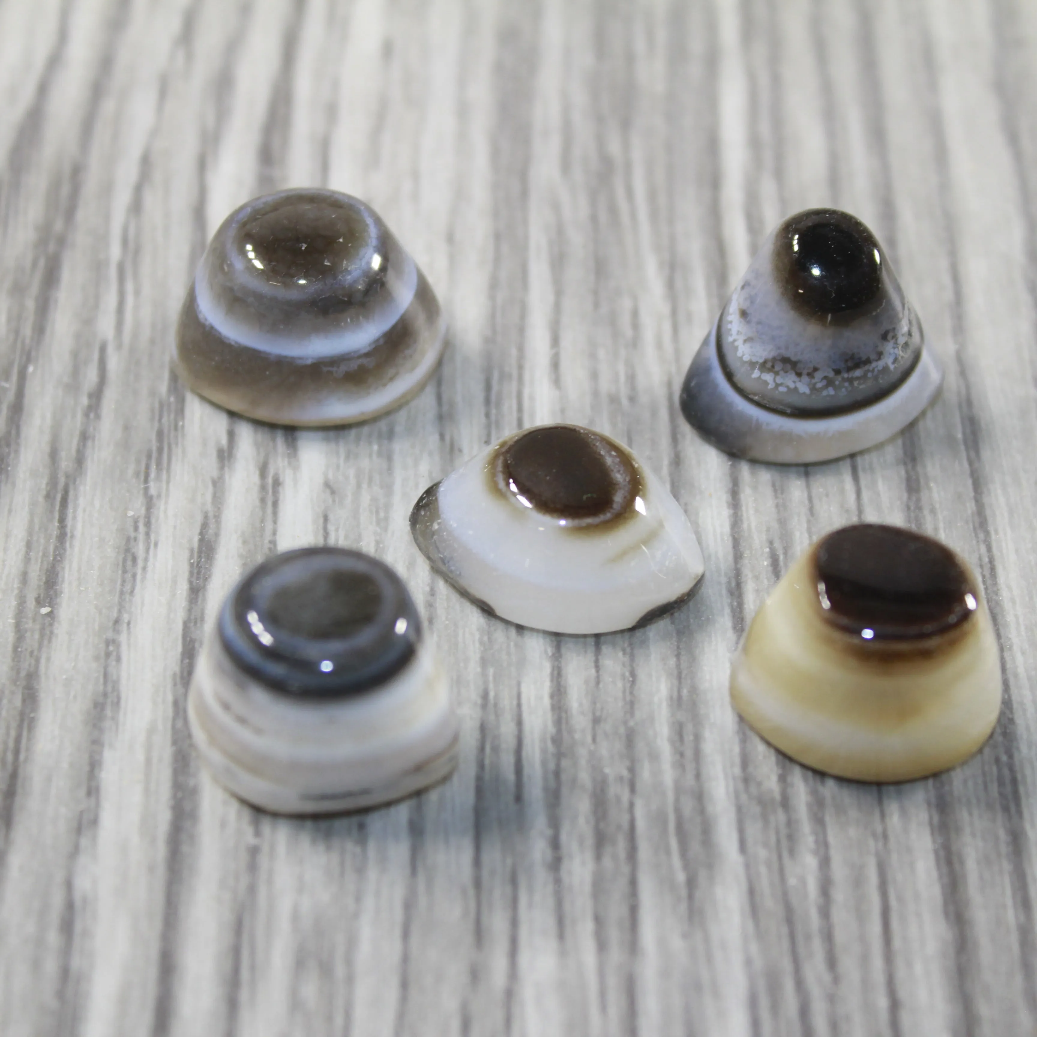 5 Agate Eyes   #6843 Naturally Formed