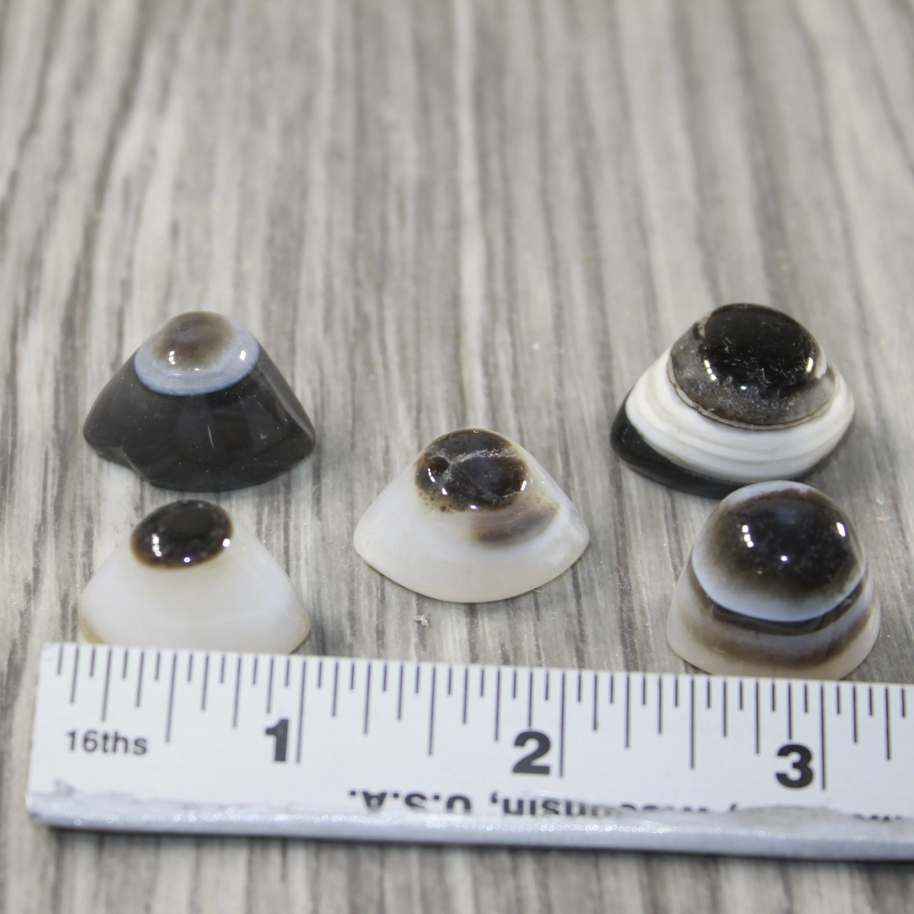 5 Agate Eyes   #8943 Naturally Formed