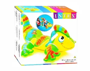 56569 - Gecko Ride-On