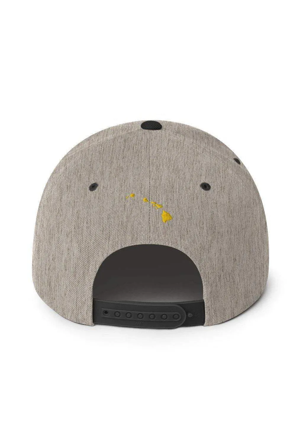Asana Hawaii Island Flag Snapback Hat