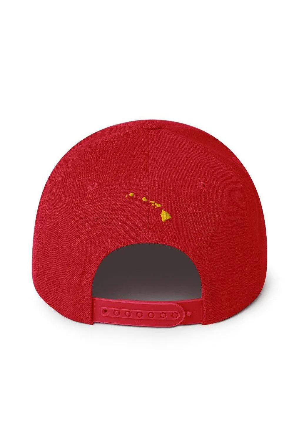 Asana Hawaii Island Flag Snapback Hat