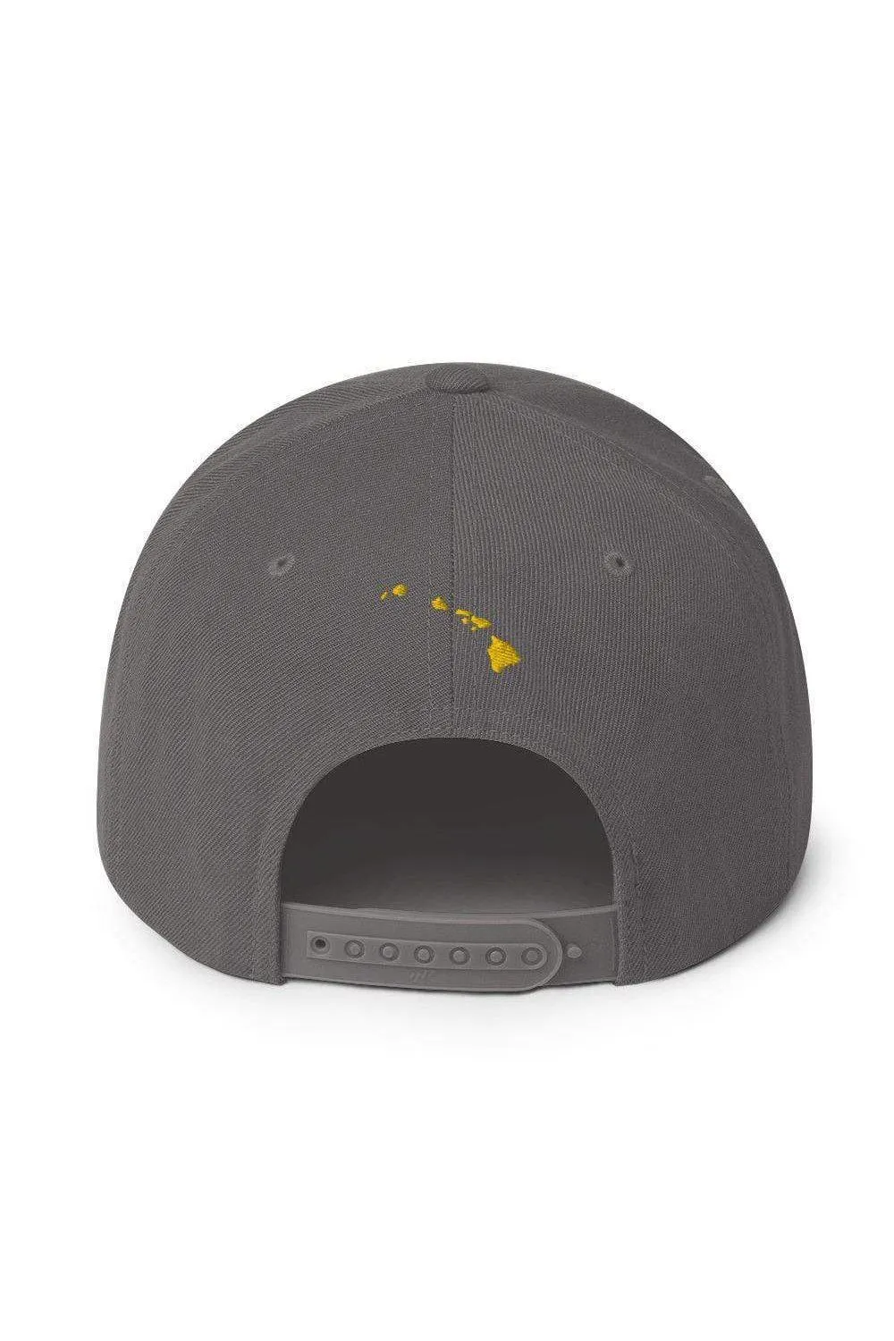 Asana Hawaii Island Flag Snapback Hat