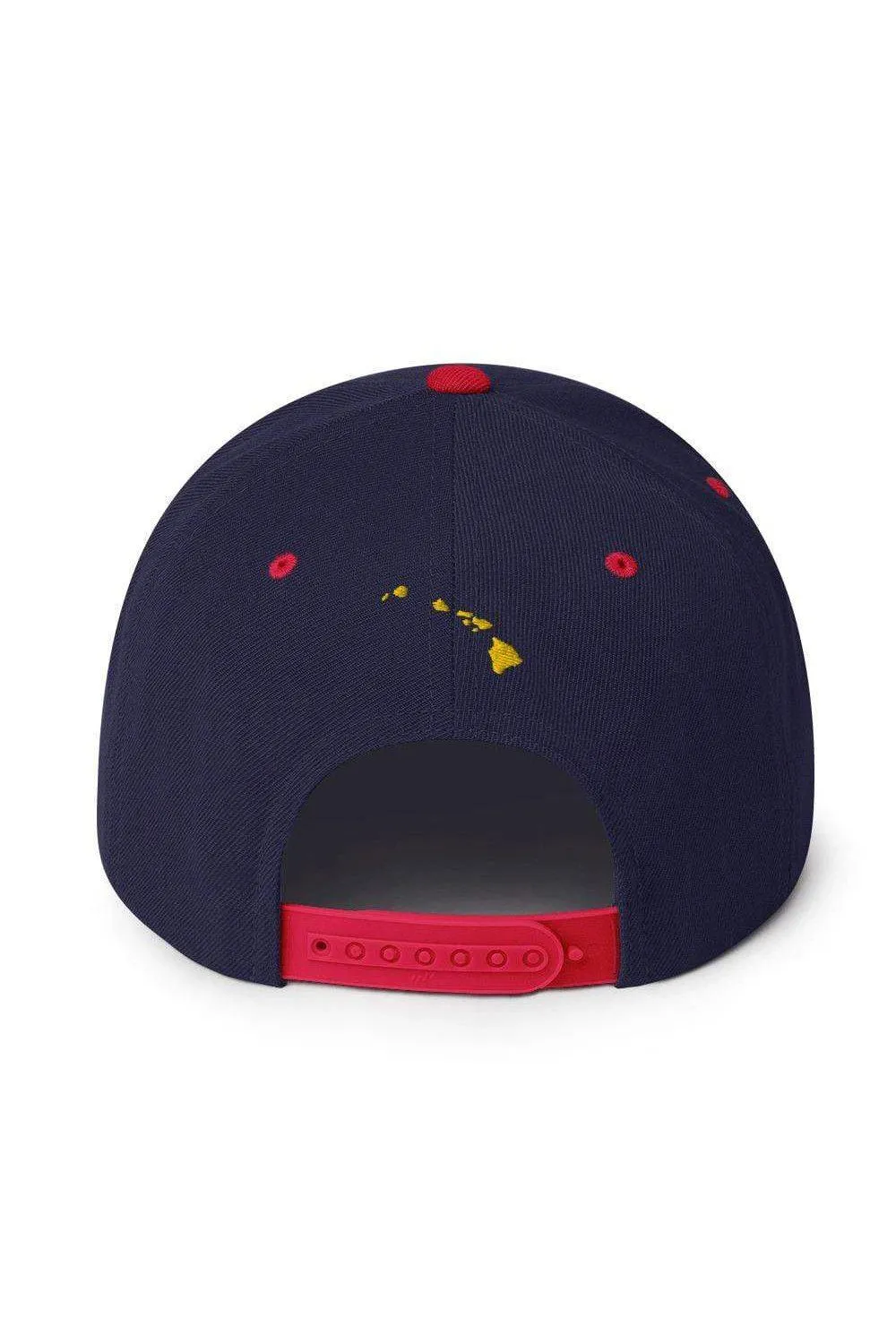 Asana Hawaii Island Flag Snapback Hat