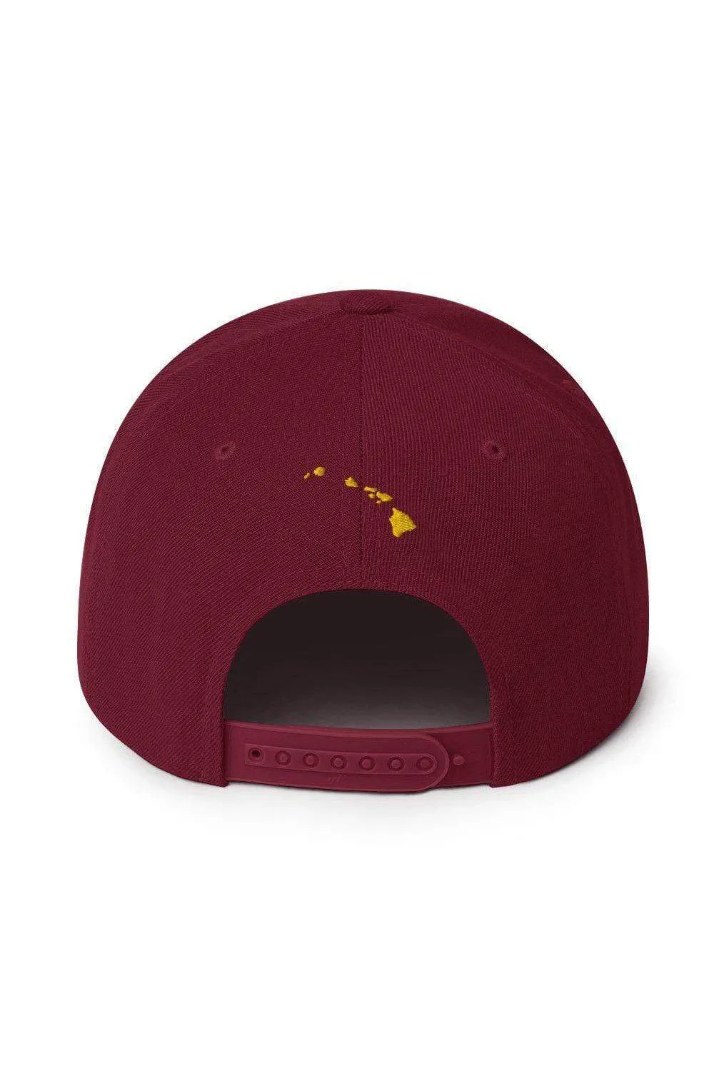 Asana Hawaii Island Flag Snapback Hat