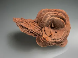 Barite (Rose), Norman, Oklahoma, Dr. David London Collection, Small Cabinet, 7.0 cm x 7.5 cm x 10.5 cm, $200.  Online Oct. 13.