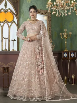 Beaded Net Lehenga with Net Dupatta in Subtle Taupe