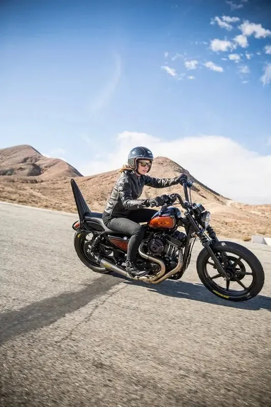 BELL Custom 500 SE Helmet | RSD Check It