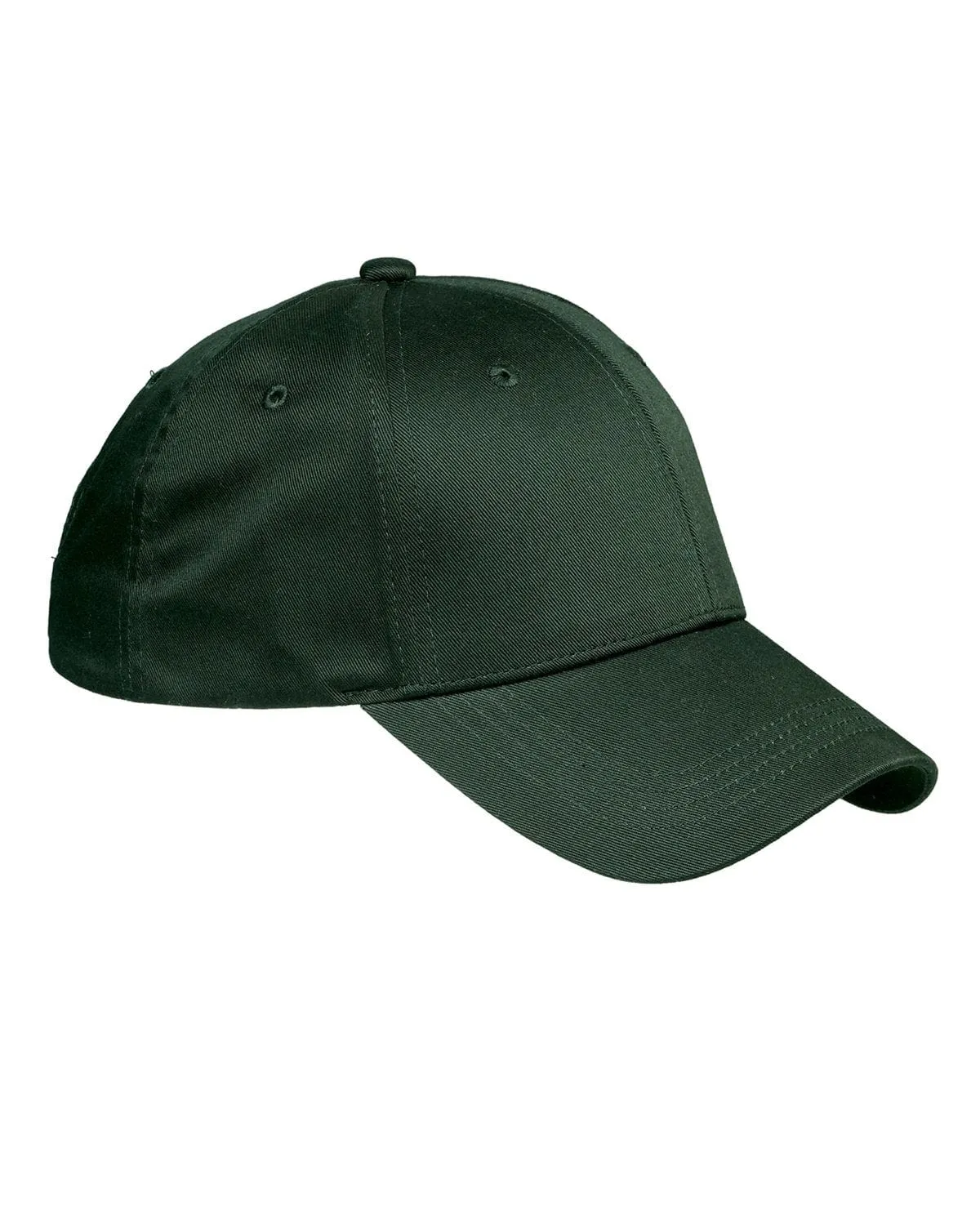 Big Accessories 6-Panel Structured Twill Cap