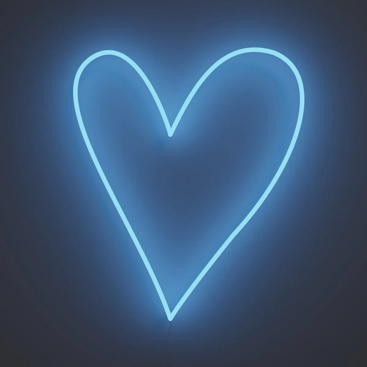 Big Big Heart - LED neon sign