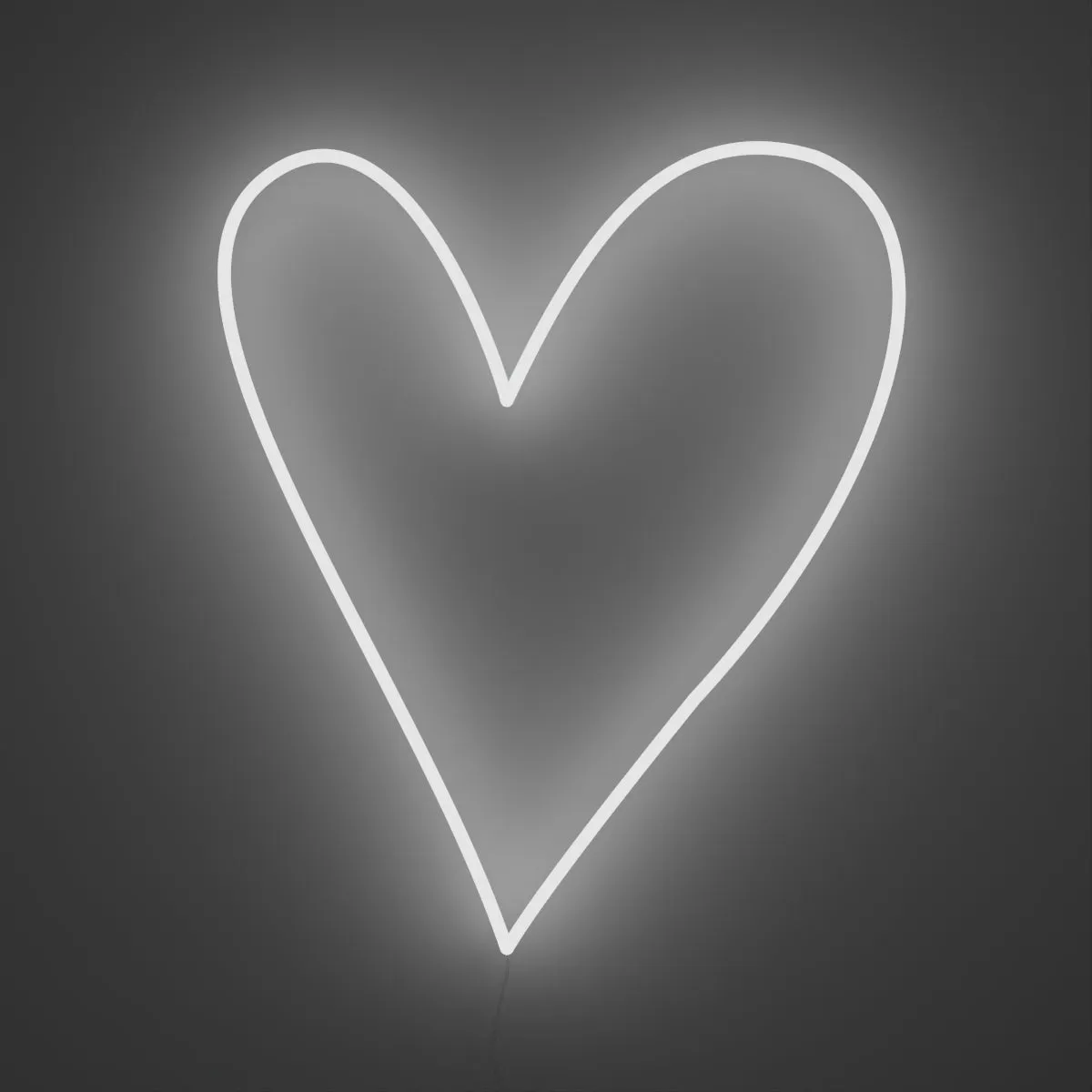 Big Big Heart - LED neon sign