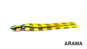 Bonze "ATM" Lures