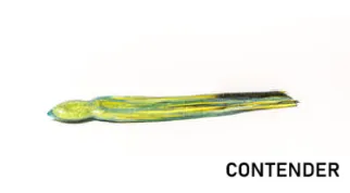Bonze "ATM" Lures