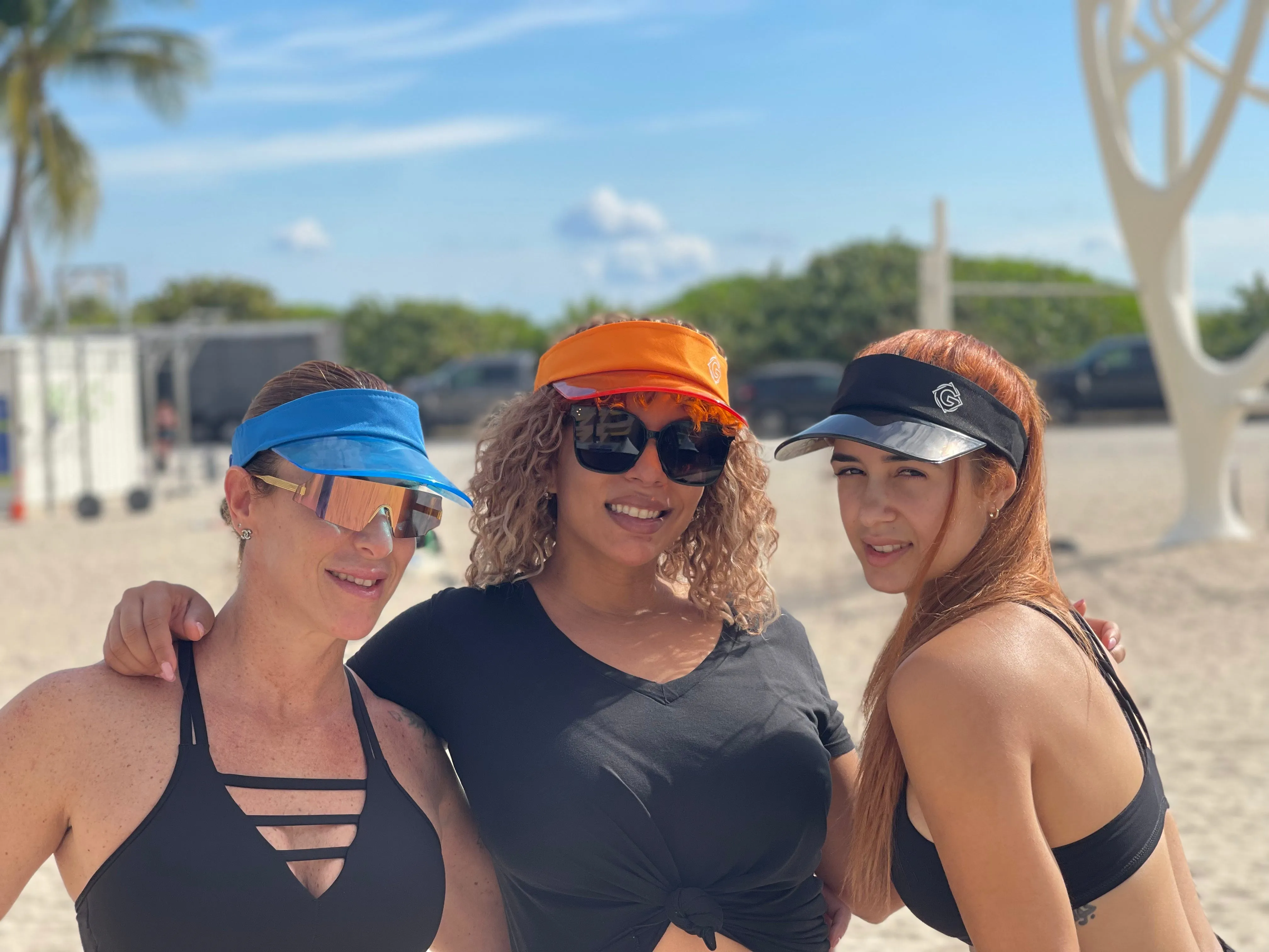 Clear Visor