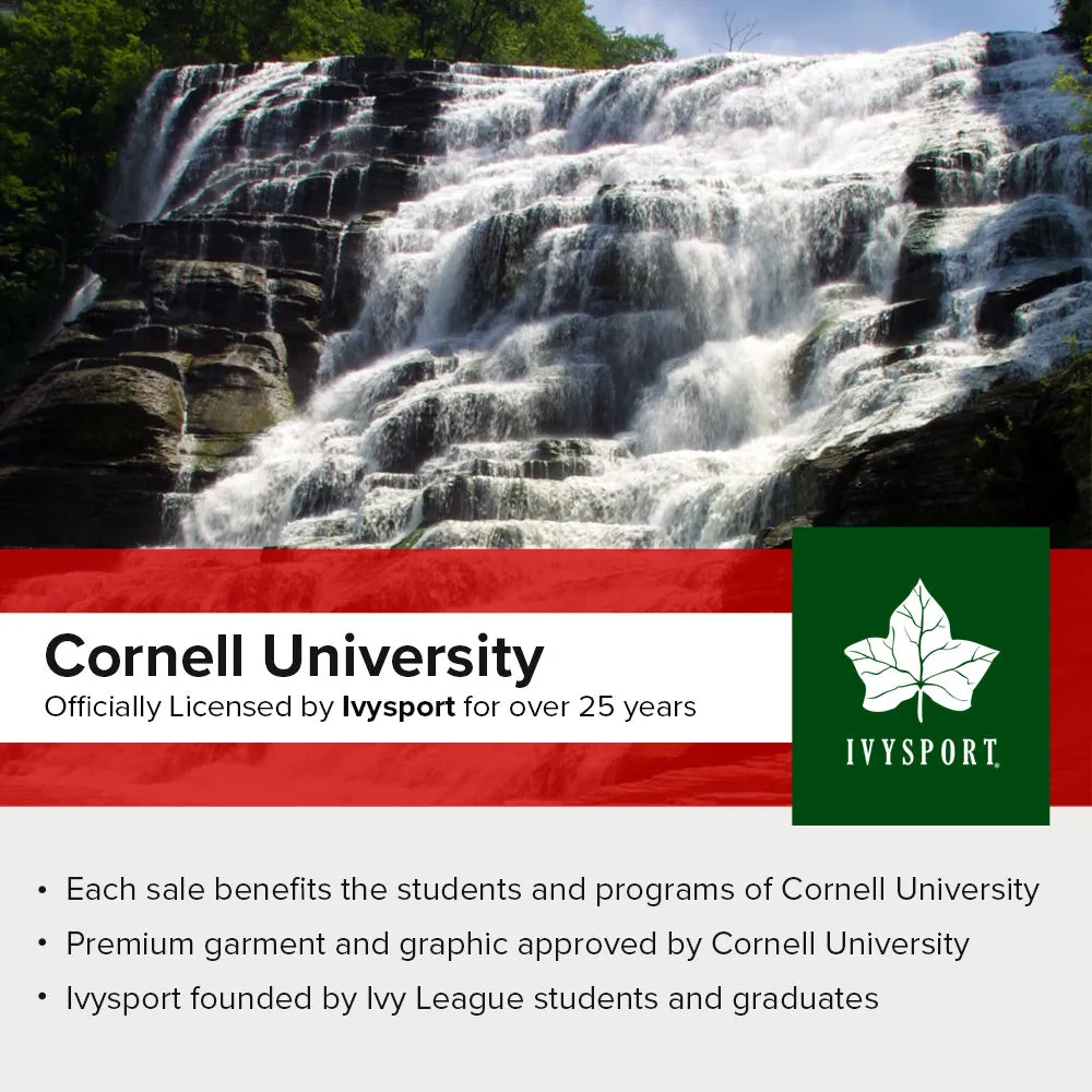 Cornell University Classic Hood Sweatshirt (Charcoal)