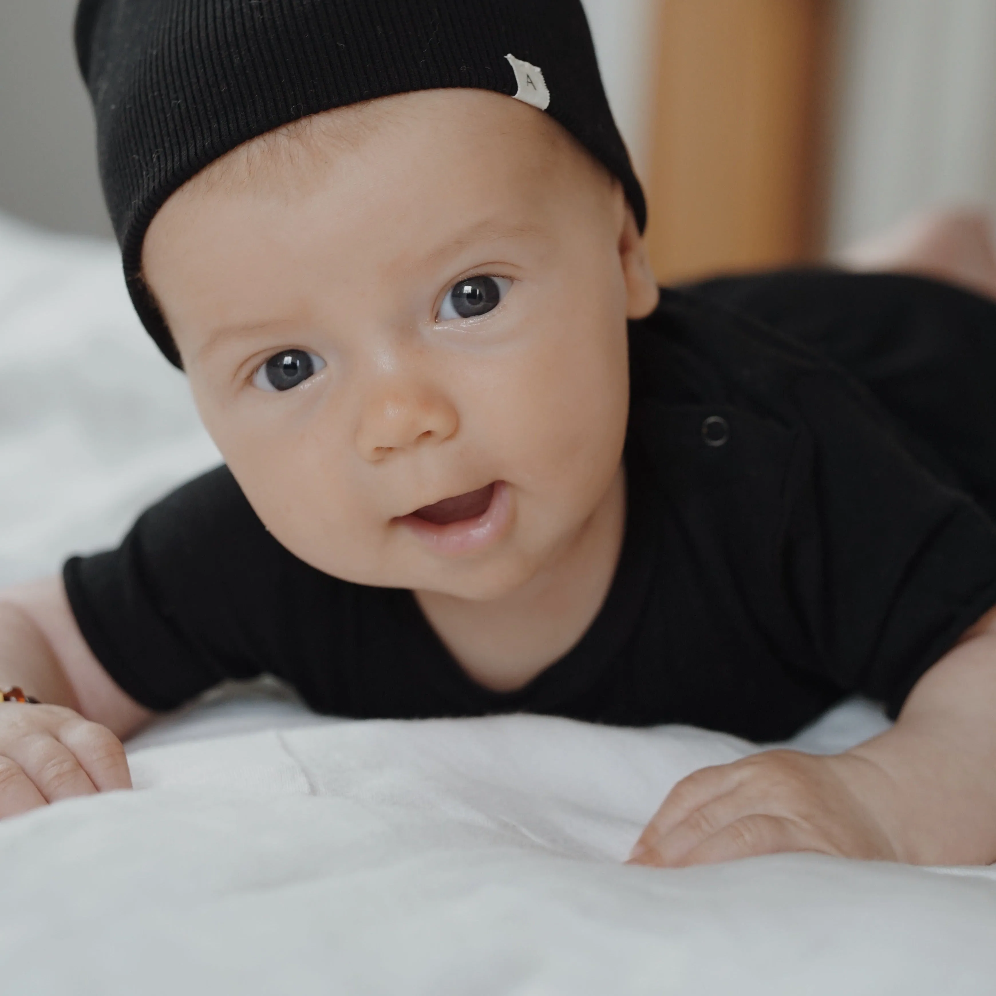 Cree Cotton Jersey Baby Bodysuit (Black)
