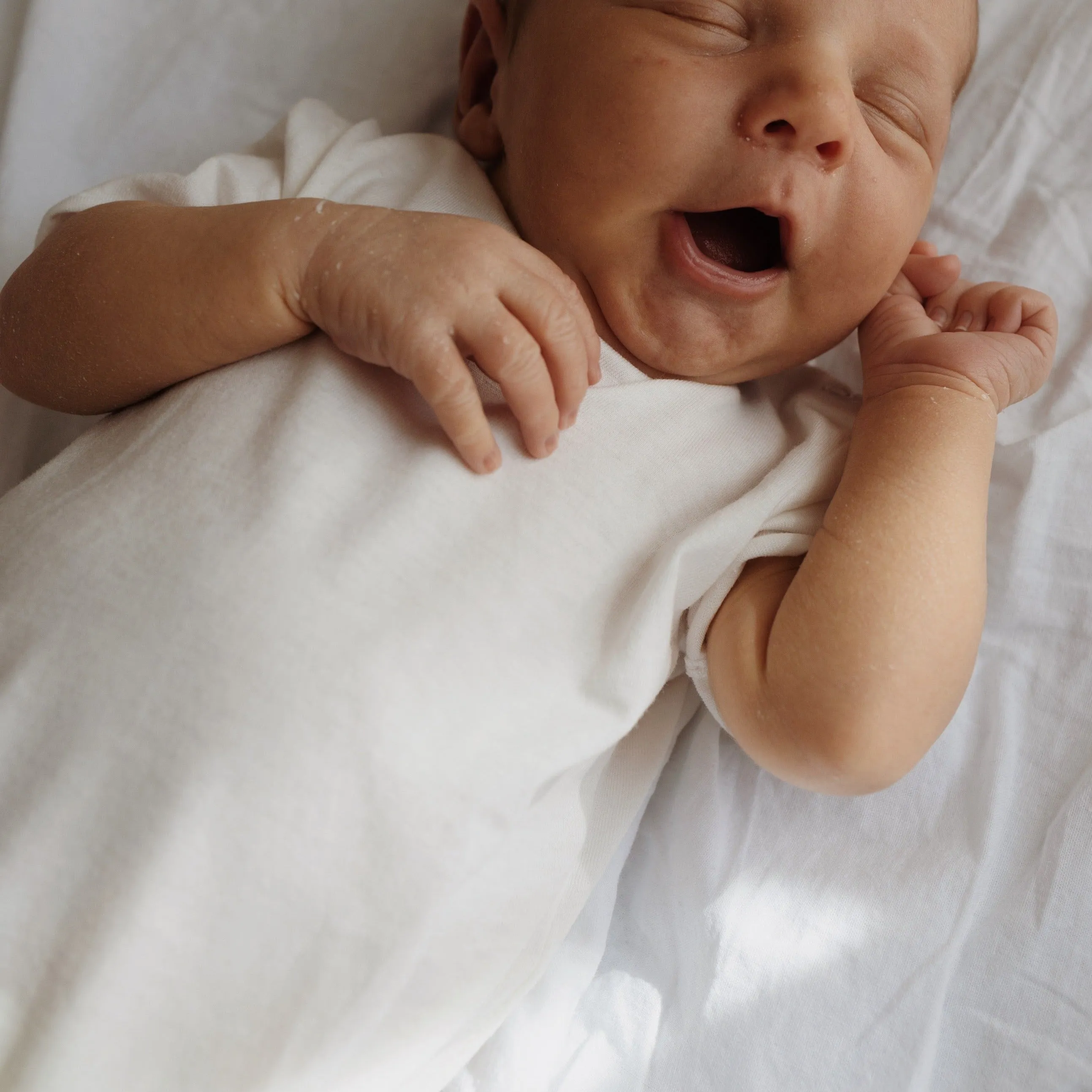 Cree Cotton Jersey Baby Bodysuit (Natural White)