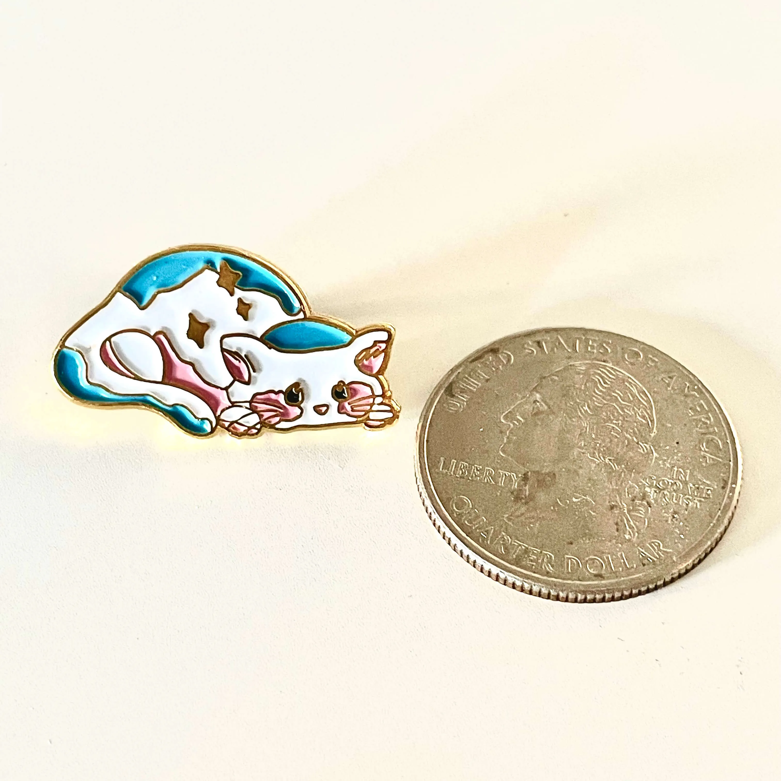 Cute Subtle Trans Cat Enamel Pin