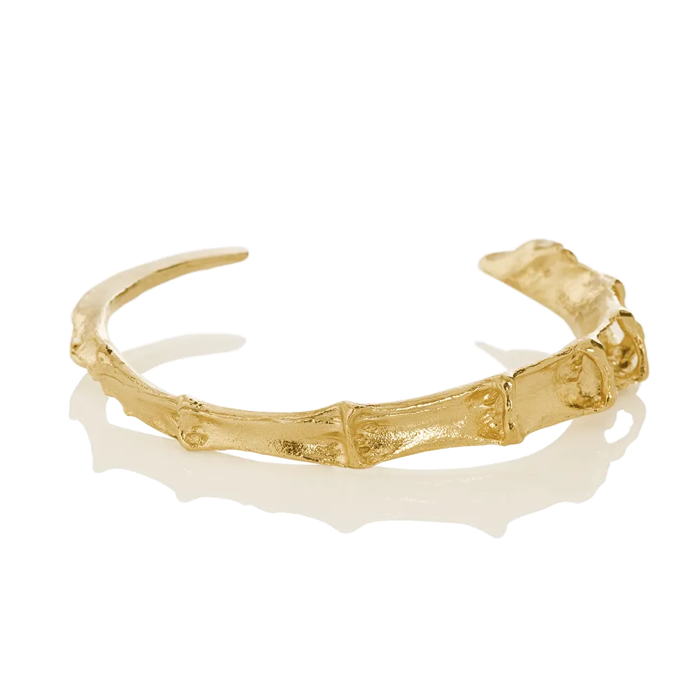 CYGNUS bracelet