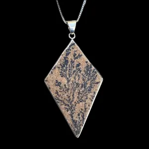 Dendritic In Sandstone