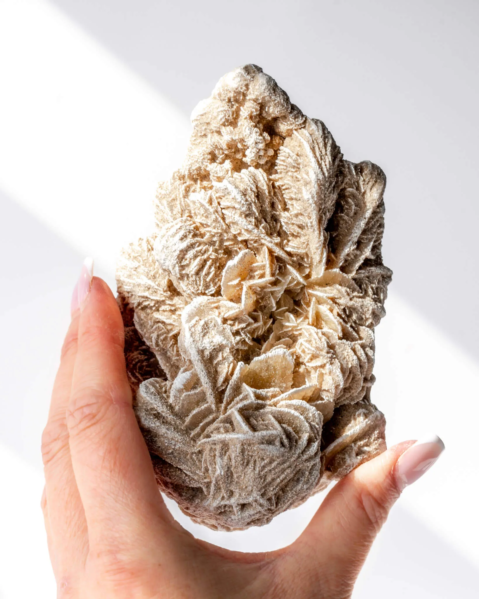 Desert Rose Cluster - 42
