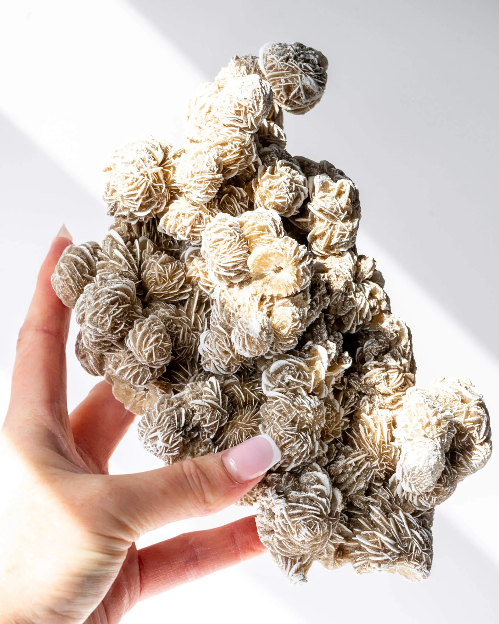 Desert Rose Cluster - 60