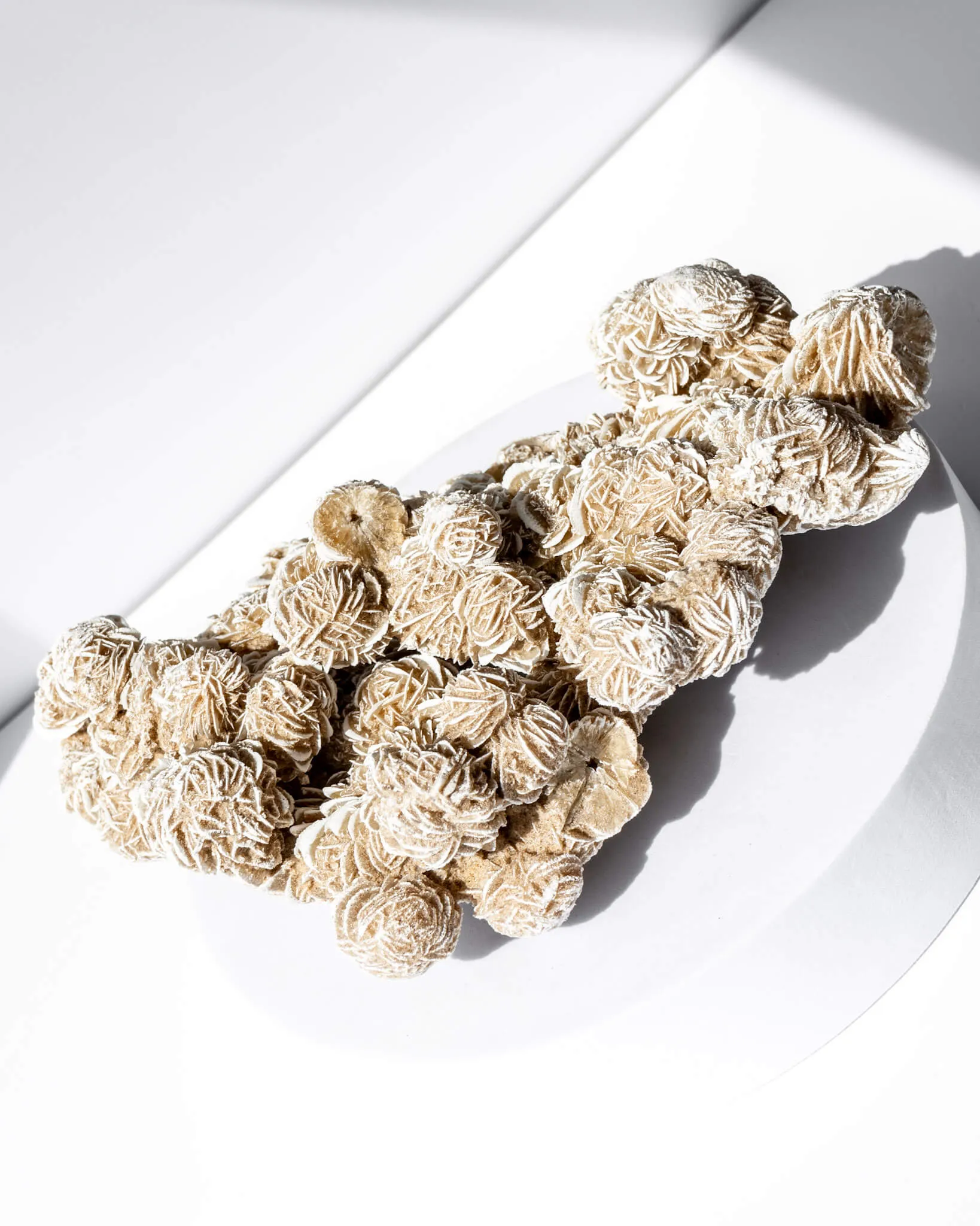 Desert Rose Cluster - 60