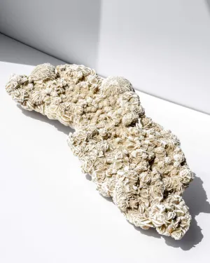 Desert Rose Cluster - 86