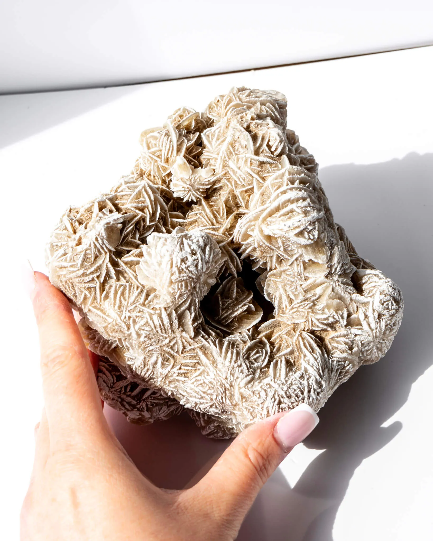 Desert Rose Cluster - 95