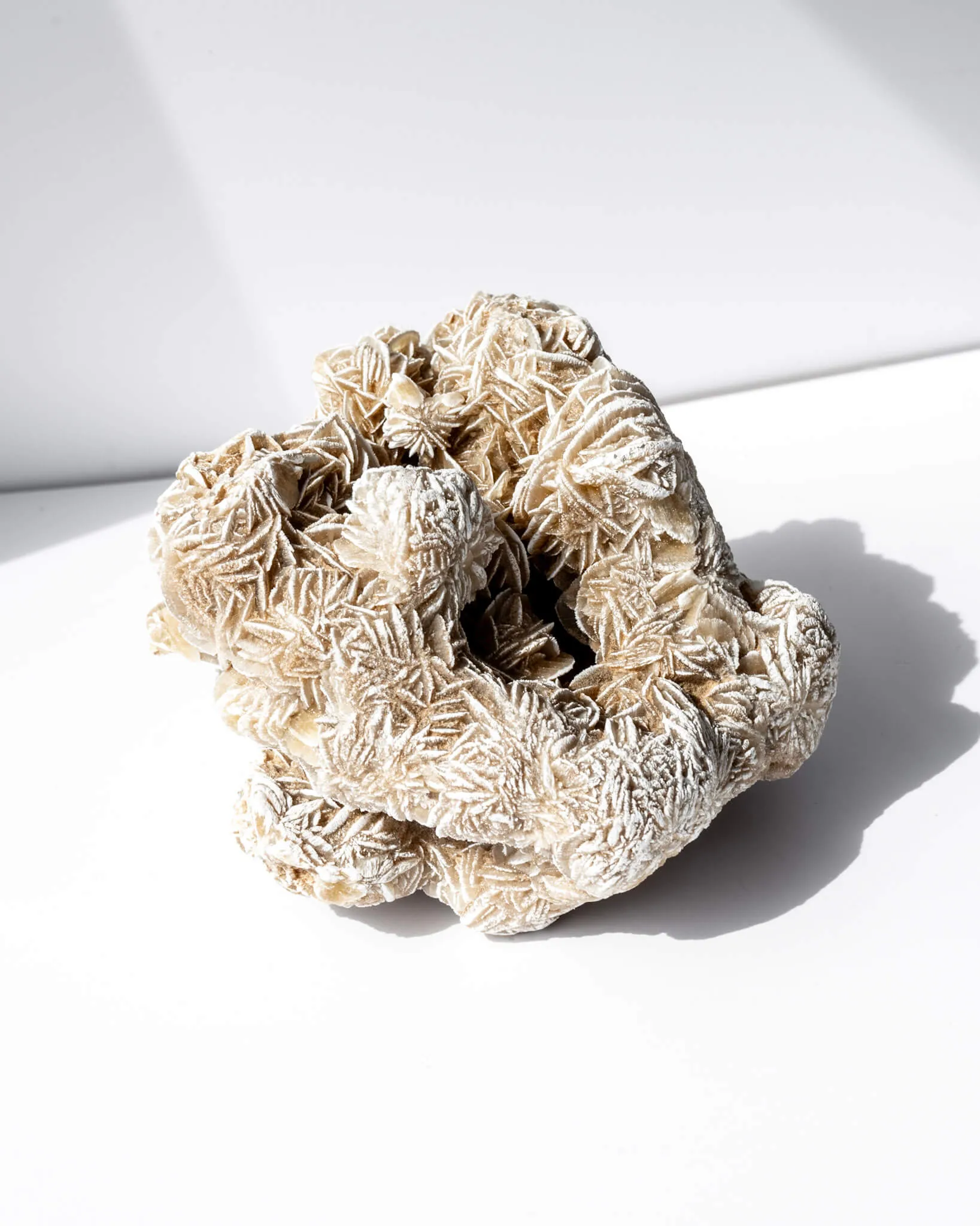 Desert Rose Cluster - 95