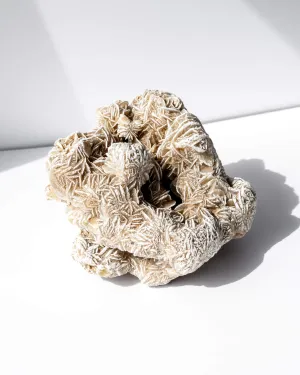 Desert Rose Cluster - 95