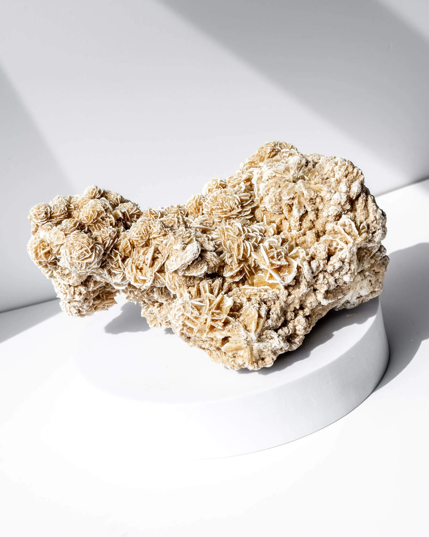 Desert Rose Cluster - 97