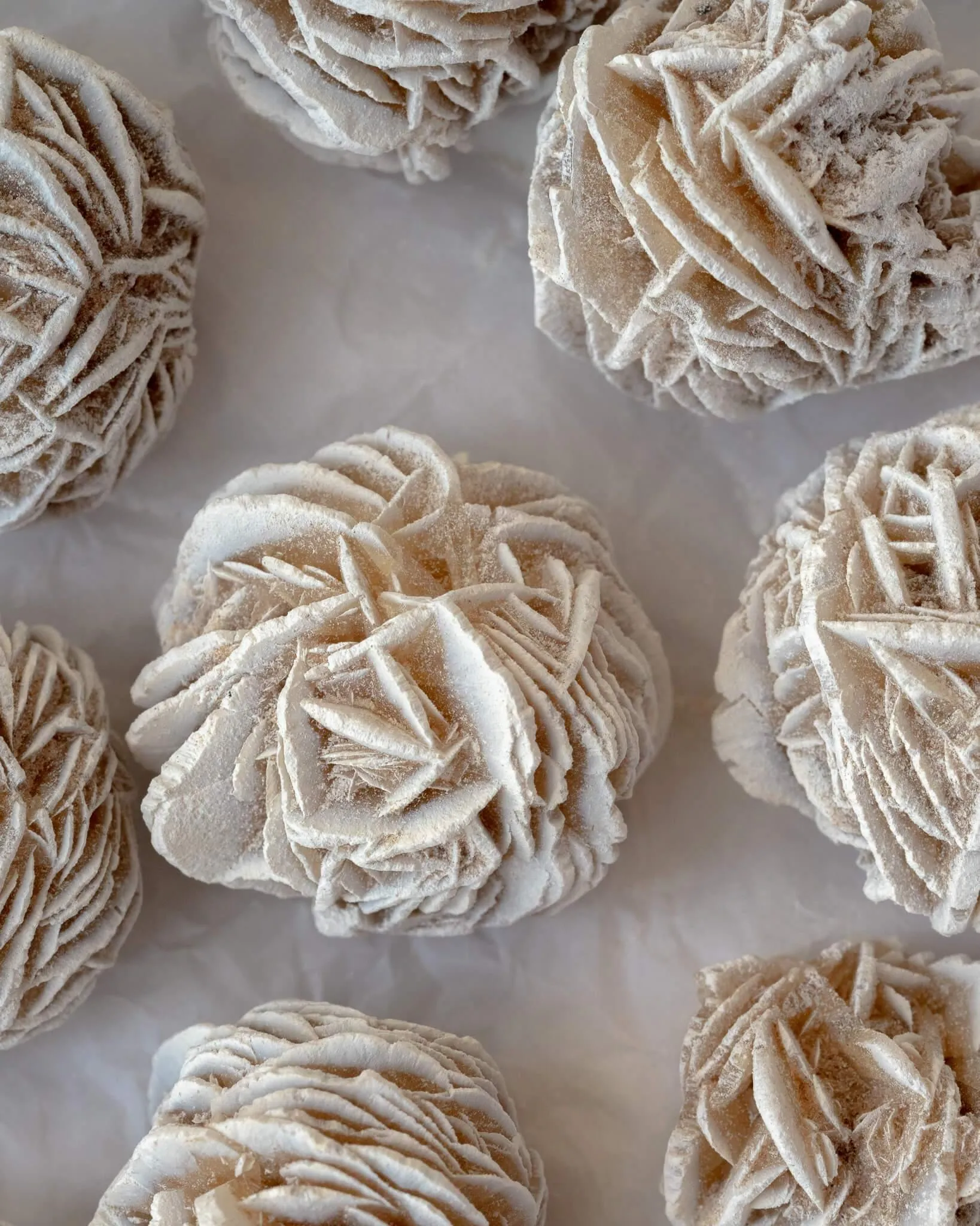 Desert Rose Selenite