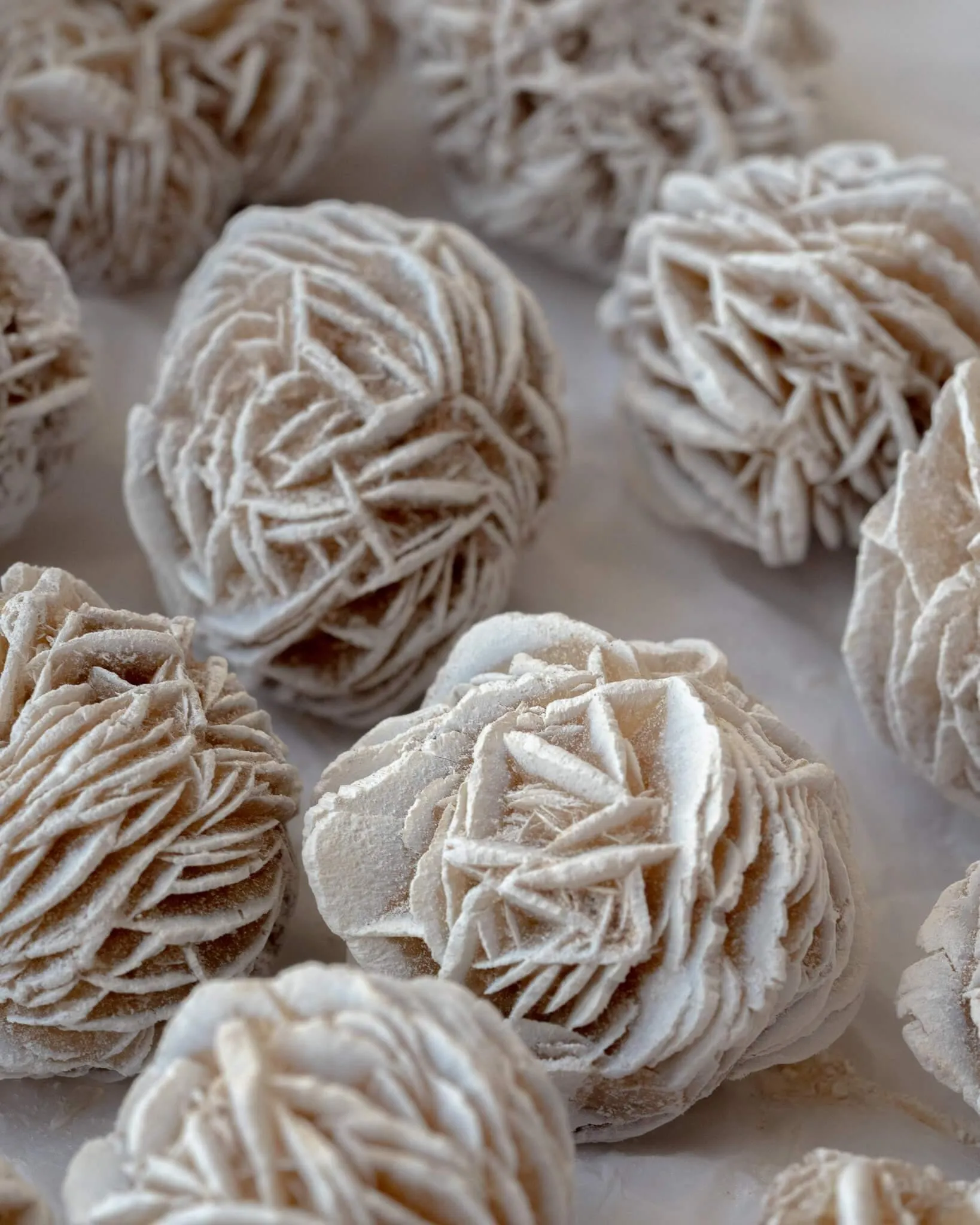 Desert Rose Selenite