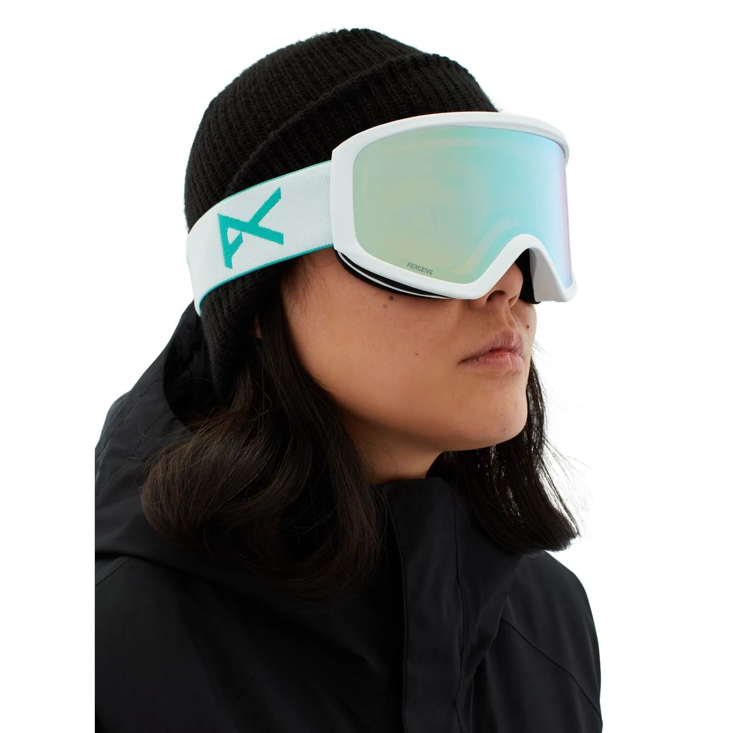 Insight Snow Goggle
