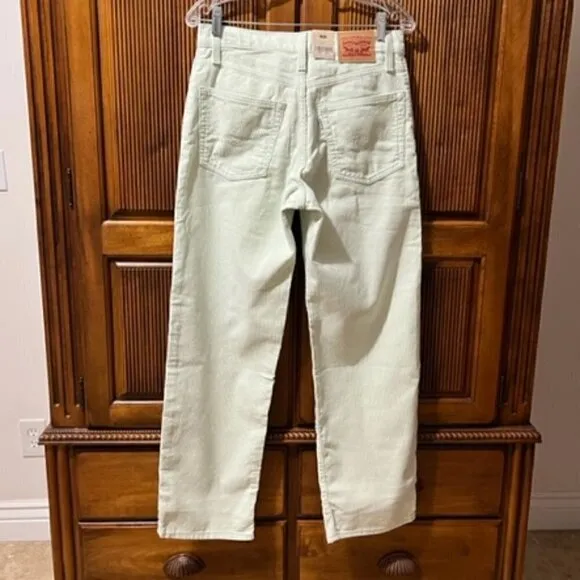 Levi’s ‘94 Baggy Mid Rise Meadow Mist - Corduroy Pants