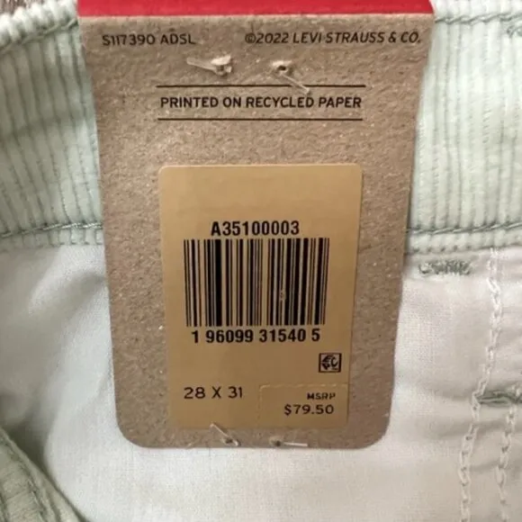 Levi’s ‘94 Baggy Mid Rise Meadow Mist - Corduroy Pants