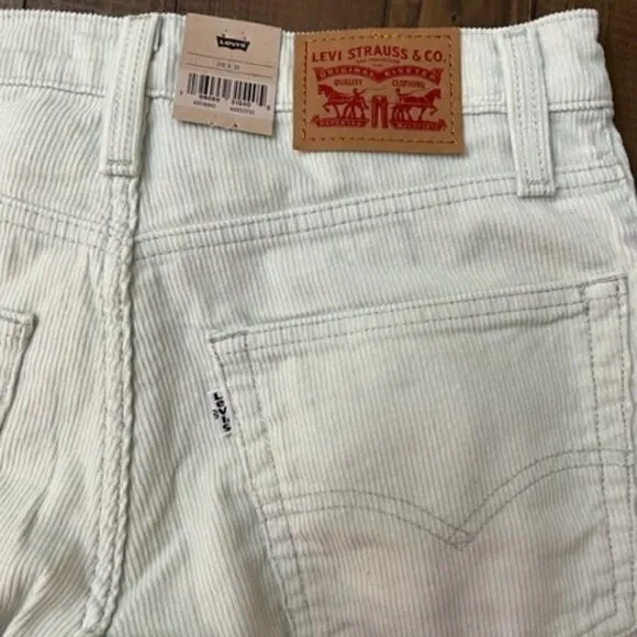 Levi’s ‘94 Baggy Mid Rise Meadow Mist - Corduroy Pants