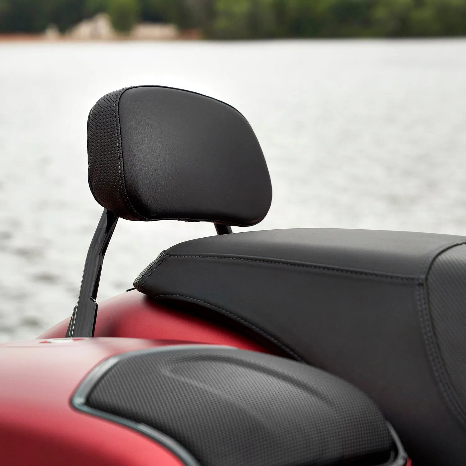 Low Profile Quick Release Passenger Sissy Bar