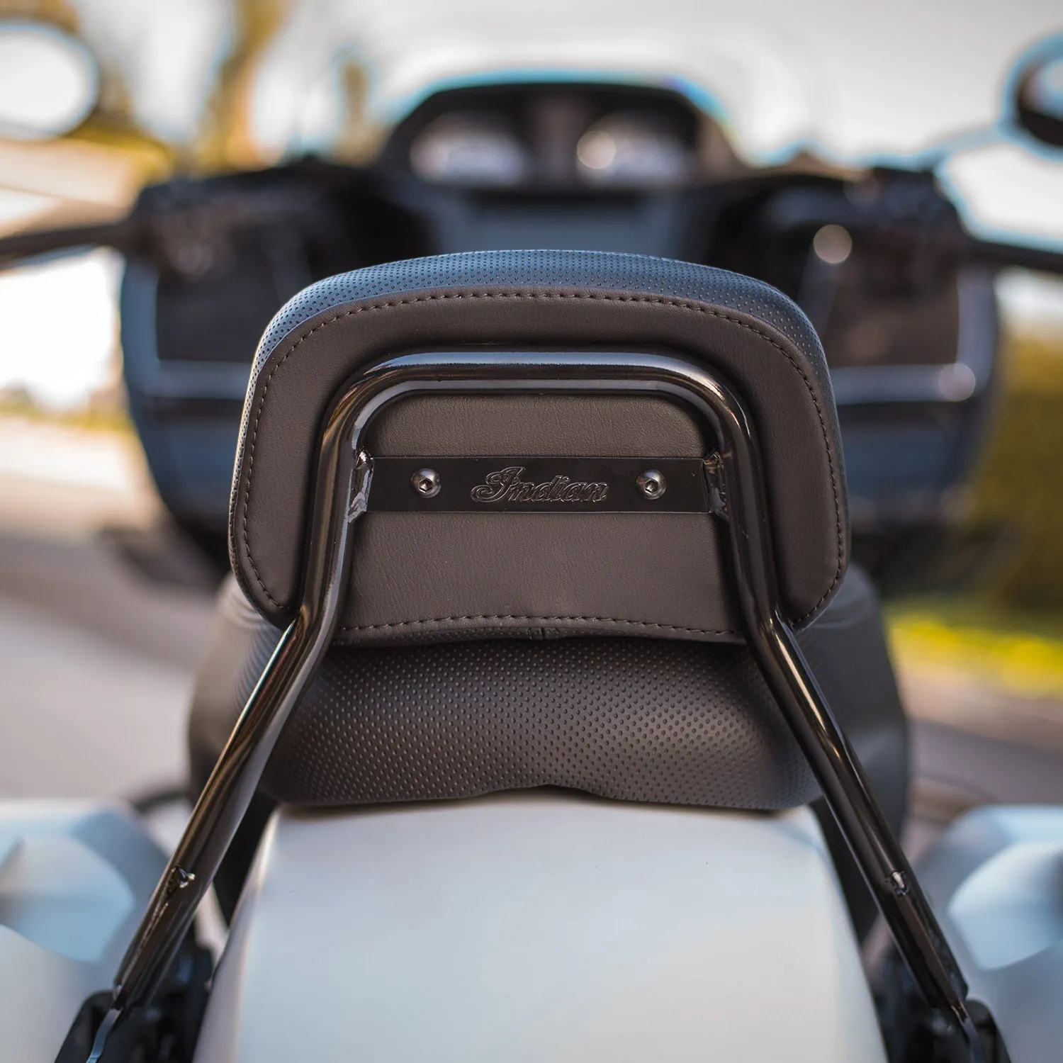Low Profile Quick Release Passenger Sissy Bar