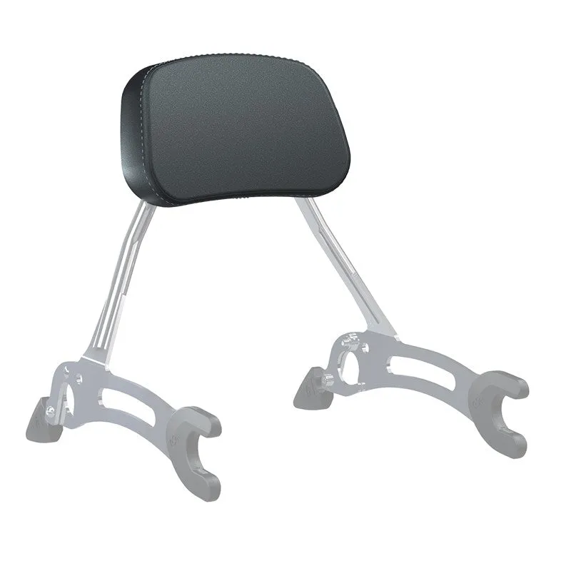 Low Profile Quick Release Passenger Sissy Bar